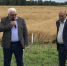 Дни Сорта начались в Липецкой области - Управление сельского хозяйства