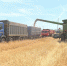 Агропредприятия региона собирают урожай по технологии No-Till - Липецкая ГТРК