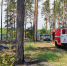 Запрет на посещение лесов продлили до 21 августа - Lipetsk.Ru
