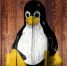 25 августа 1991 года: День рождения операционной системы Linux - Lipetsk.Ru