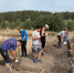 Под Липецком идут раскопки поселения эпохи бронзы - Липецкая ГТРК