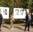 «Сердечные» фотовыставки открылись в липецких парках - Администрация Липецкой области