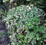 img-big-0 - Gorod48.ru