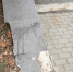 img-big-0 - Gorod48.ru