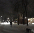В Быхановом саду местами потемнело - Gorod48.ru