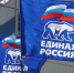 Многодетные семьи из Волово Липецкой области получили подарки - Единая Россия