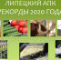 Липецкие аграрии обновили рекорды в 2020 году - Администрация Липецкой области