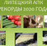 Липецкие аграрии обновили рекорды в 2020 году - Липецкое время