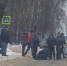 Сбитая на улице Доватора женщина госпитализирована - Gorod48.ru