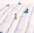 Сходить в туалет в Молодежном парке в Липецке стоит 500 рублей? - Мост ТВ