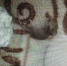 897EA0AA-EEAA-4CBB-8C39-461D048FDDC2.jpeg - Gorod48.ru