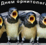 У липчан спросили, кто самый лучший говорун - Мост ТВ