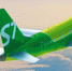 S7 Airlines открывает прямые регулярные рейсы из Липецка на черноморские курорты - LipetskNews.Ru