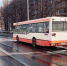 Женщина попала под автобус, мужчина - под грузовик - LipetskMedia.Ru