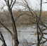 За сутки подъем воды в реках Липецкой области не зафиксирован - Gorod48.ru