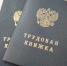 Липецким работодателям выплатят компенсацию за трудоустройство безработных - Мост ТВ