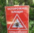 Липчан просят сдавать присосавшихся клещей для анализов - LipetskMedia.Ru