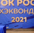 Юные Липецкие спортсмены стали победителями и призерами соревнований по тхэквондо - Управление физкультуры, спорта и туризма