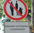 Нас ждет очередная экранизация Мастера и Маргариты - GorodLip.Ru