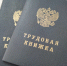 Липецкие подростки могут устроиться на работу во время каникул - Город Липецк