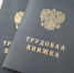 Липецким подросткам предлагают поработать в учреждениях культуры - Мост ТВ
