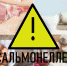 Профилактика сальмонеллеза - Центр СПИД