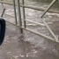 Ливень в центре Липецка привёл к потопу на улице Неделина (видео) - LipetskMedia.Ru