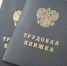 Для трудоустройства липчан в возрасте 14 лет необходимо получить согласие органа опеки и попечительства - Город Липецк