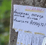 В парке Победы появилось объявление о потере улыбок - Липецкая ГТРК
