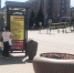 В Липецке на Театральной площади украли молодую тую - МОЁ! Липецк