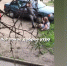 Избиение женщины в Липецке сняли на видео. 18+ - LipetskMedia.Ru