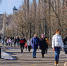 Росстат: средний возраст липчанина 42,3 года - Gorod48.ru