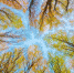 В Липецке солнечно - LipetskMedia.Ru
