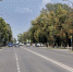 В области низкий уровень безработицы - Совет депутатов