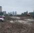 323258ec-3cb1-4256-8e42-32c0fb9c6c75.jpg - Мост ТВ