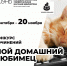 Липчанам предлагают написать сказки и эссе о своих любимых питомцах - Мост ТВ