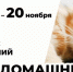 Липчанам предлагают рассказать о своих питомцах в эссе и сказках - GorodLip.Ru