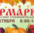 В Липецке 30 октября пройдет крупная ярмарка - Мост ТВ
