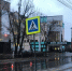 Водителю автобуса, задавившего подростка, вынесли приговор - LipetskMedia.Ru