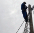 Светло — не значит дорого - Липецкая газета