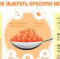 О рекомендациях как выбрать красную икру - Роспотребнадзор
