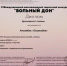 Итоги II Международного многожанрового творческого конкурса «Вольный Дон» - Металлургический колледж