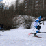 В вихре спринта и не только - Championat48.Ru