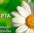 tiding_263.jpg - ГУЗ ЛГП №1