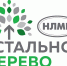 Жители пяти регионов России получат гранты на добрые дела от программы «Стальное дерево» - Липецкая ГТРК