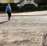 На улице Зегеля откопали мостовую XIX века - Gorod48.ru