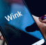 Wink официально включили в реестр российского программного обеспечения - Липецкая ГТРК