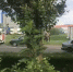 Пожарный автомобиль двигался по встречной полосе со включенными проблесковыми маячками - Gorod48.ru
