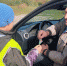 На липецких трассах поощряют вежливых автомобилистов - ГИБДД Липецкой области
