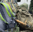 В Липецкой области приостановлено взыскание долгов с 70 мобилизованных - Lipetsk.Sm.News